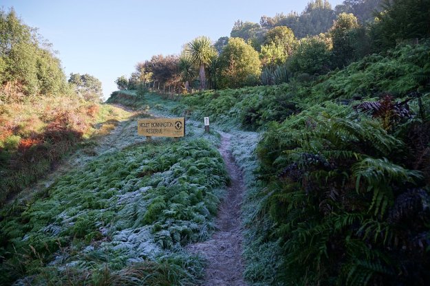 DSC04307_MtNgongotaha