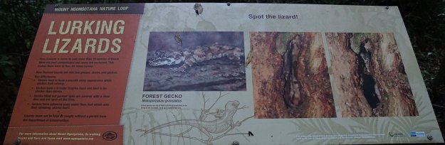 DSC04327_MtNgongotaha