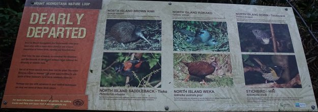 DSC04336_MtNgongotaha