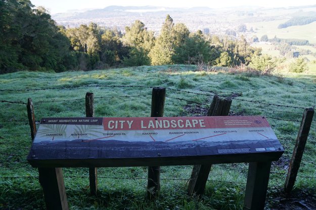 DSC04345_MtNgongotaha