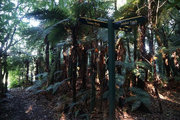 DSC04350_MtNgongotaha