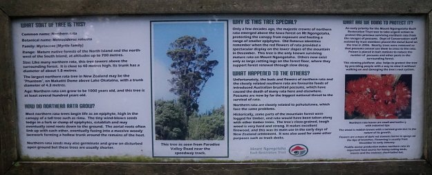 DSC04370_MtNgongotaha