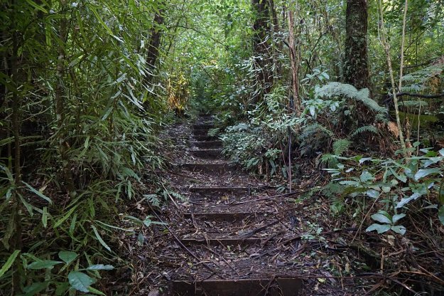 DSC04372_MtNgongotaha