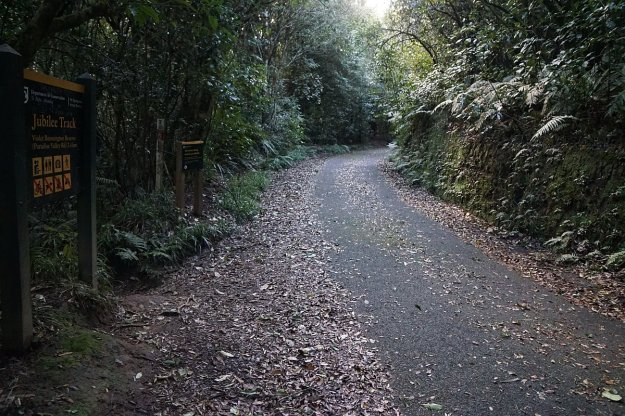 DSC04380_MtNgongotaha