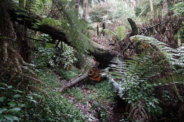 DSC04419_MindenReserve