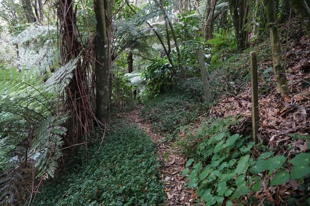 DSC04432_MindenReserve