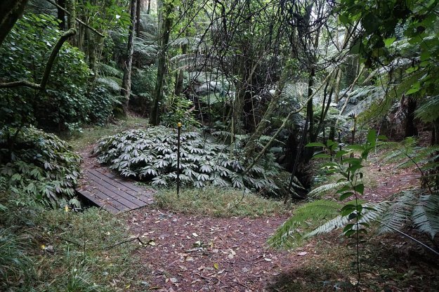 DSC04435_MindenReserve