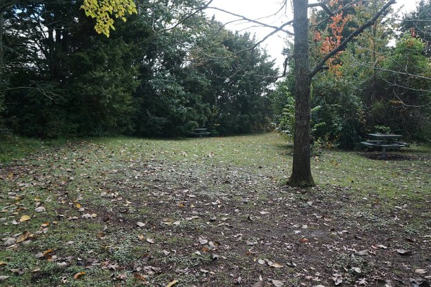 DSC04439_MindenReserve