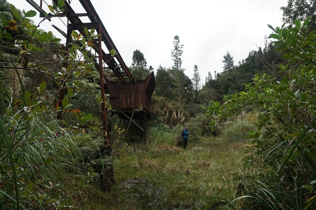 DSC04583_GoldenCrossMaratoto