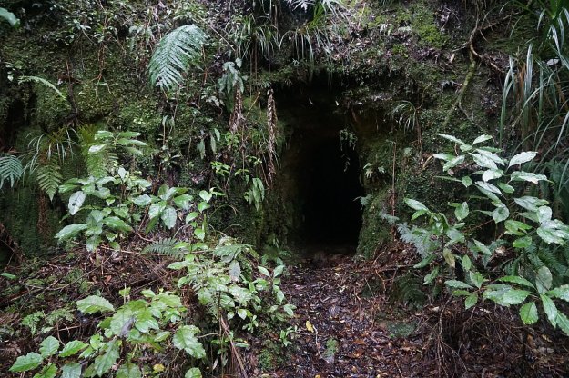 DSC04586_GoldenCrossMaratoto