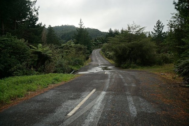 DSC04597_GoldenCrossMaratoto