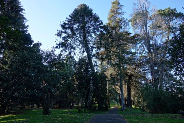 DSC03628_Yatton_Fraser