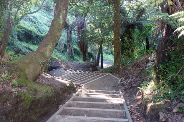 DSC03632_Yatton_Fraser