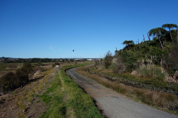 DSC03636_Yatton_Fraser