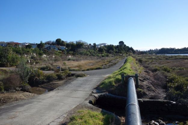 DSC03637_Yatton_Fraser