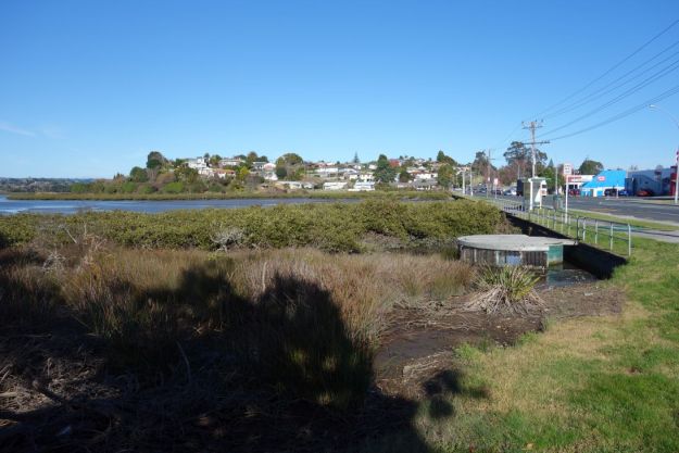 DSC03645_Yatton_Fraser