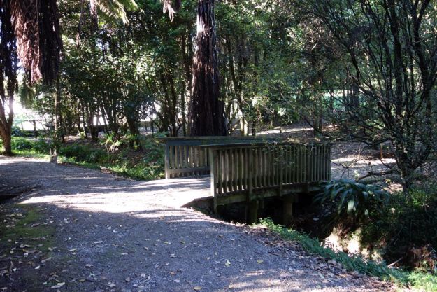 DSC03660_Yatton_Fraser