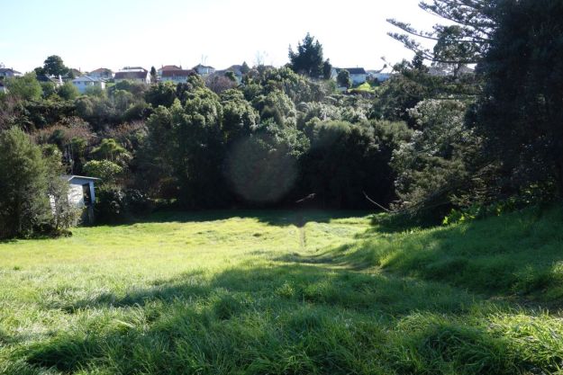 DSC03663_Yatton_Fraser