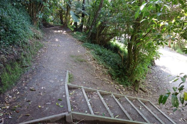 DSC03667_Yatton_Fraser