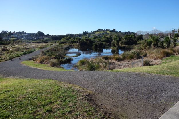 DSC03704_GordonCarmichael