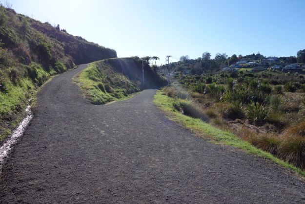 DSC03705_GordonCarmichael