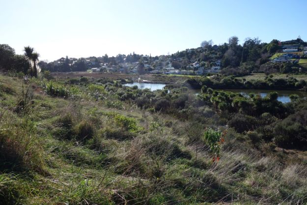 DSC03709_GordonCarmichael