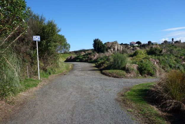 DSC03711_GordonCarmichael