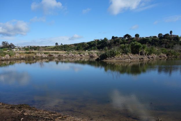 DSC03714_GordonCarmichael