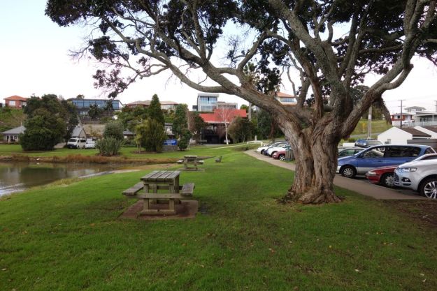 DSC03762_WaikareaoEstuary