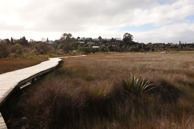 DSC03781_WaikareaoEstuary