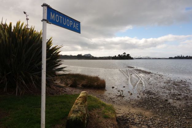 DSC03790_WaikareaoEstuary