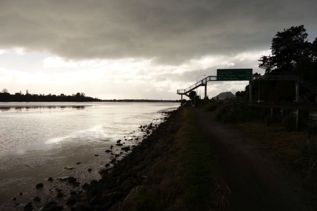 DSC03808_WaikareaoEstuary