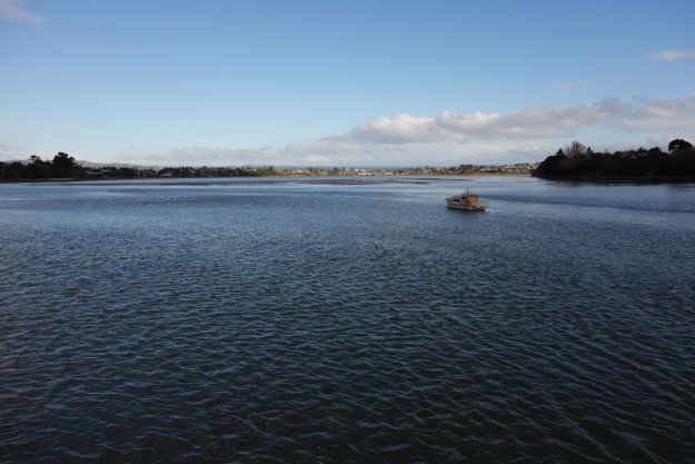 DSC03810_WaikareaoEstuary