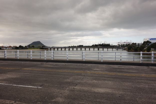 DSC03812_WaikareaoEstuary