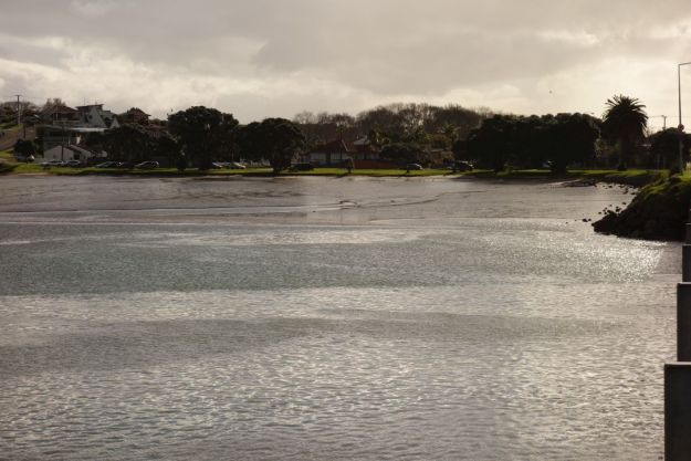 DSC03814_WaikareaoEstuary