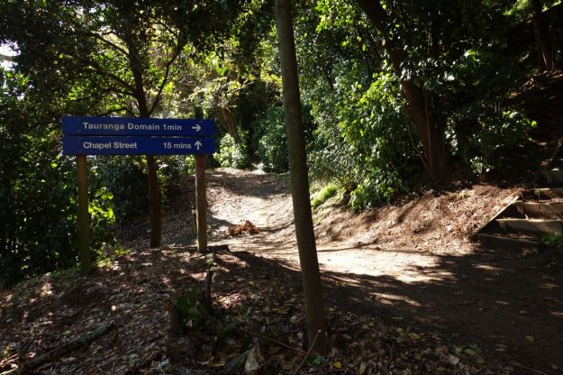 DSC03831_TaurangaHistorical_Waikareao