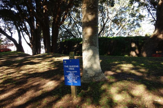 DSC03862_TaurangaHistorical_Waikareao