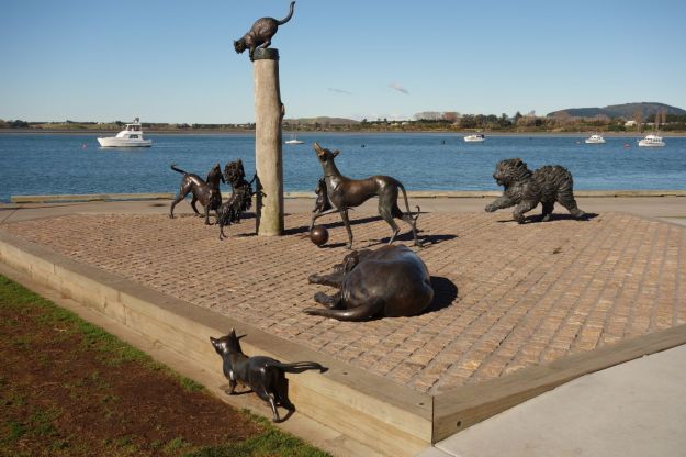 DSC03885_TaurangaHistorical_Waikareao