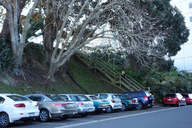 DSC03893_TaurangaHistorical_Waikareao