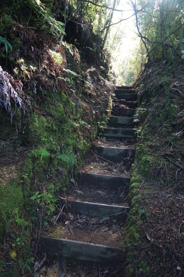 DSC04660_BrokenHillsHikuai