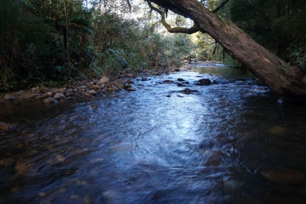 DSC04666_BrokenHillsHikuai