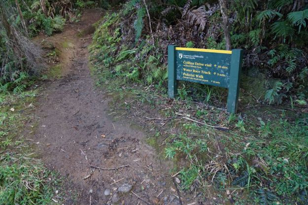 DSC04674_BrokenHillsHikuai