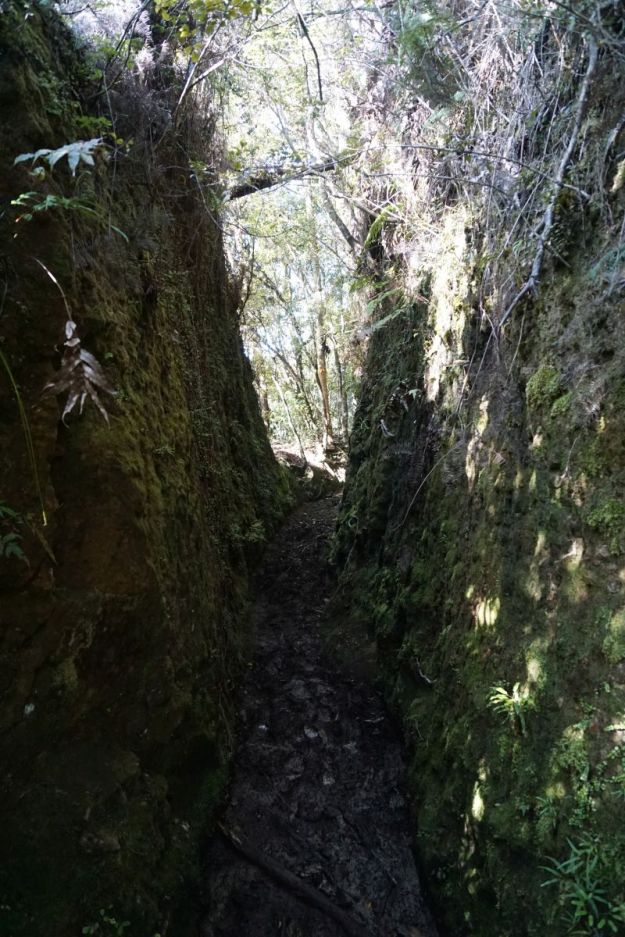 DSC04689_BrokenHillsHikuai