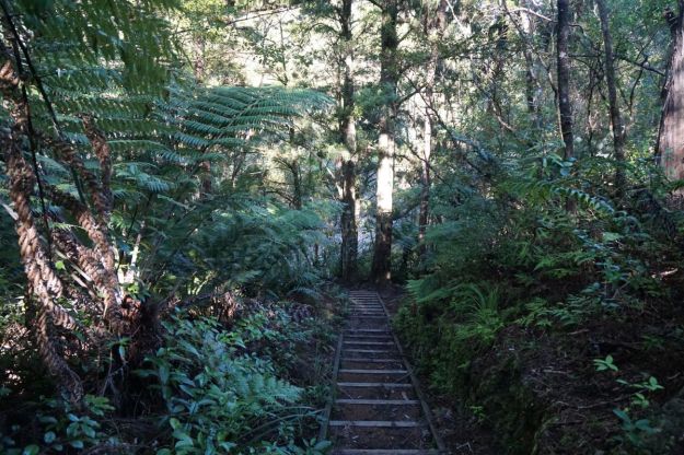 DSC04698_BrokenHillsHikuai