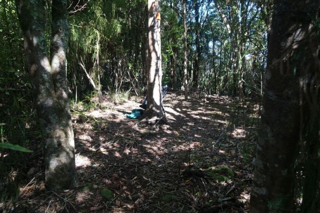 DSC04721_WaiorongomaiPylon