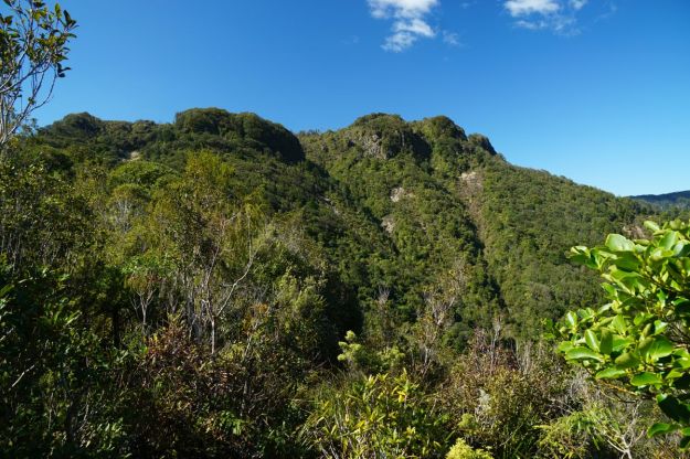 DSC04739_WaiorongomaiPylon