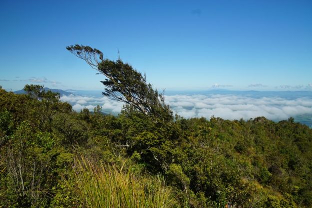 DSC04740_WaiorongomaiPylon