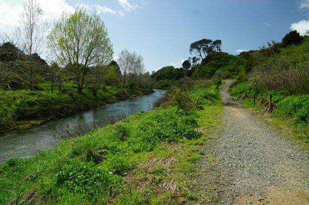 dsc04793_waihiwaikino