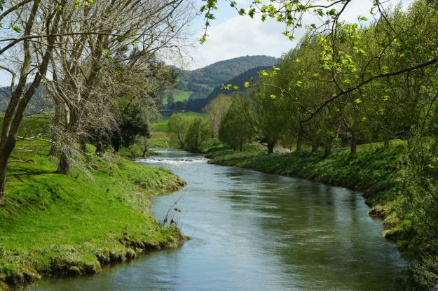 dsc04803_waihiwaikino