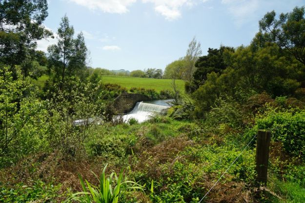 dsc04807_waihiwaikino